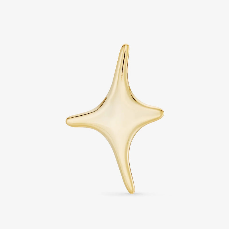 Puces Nébuleuse bijoux (unité) - Leo