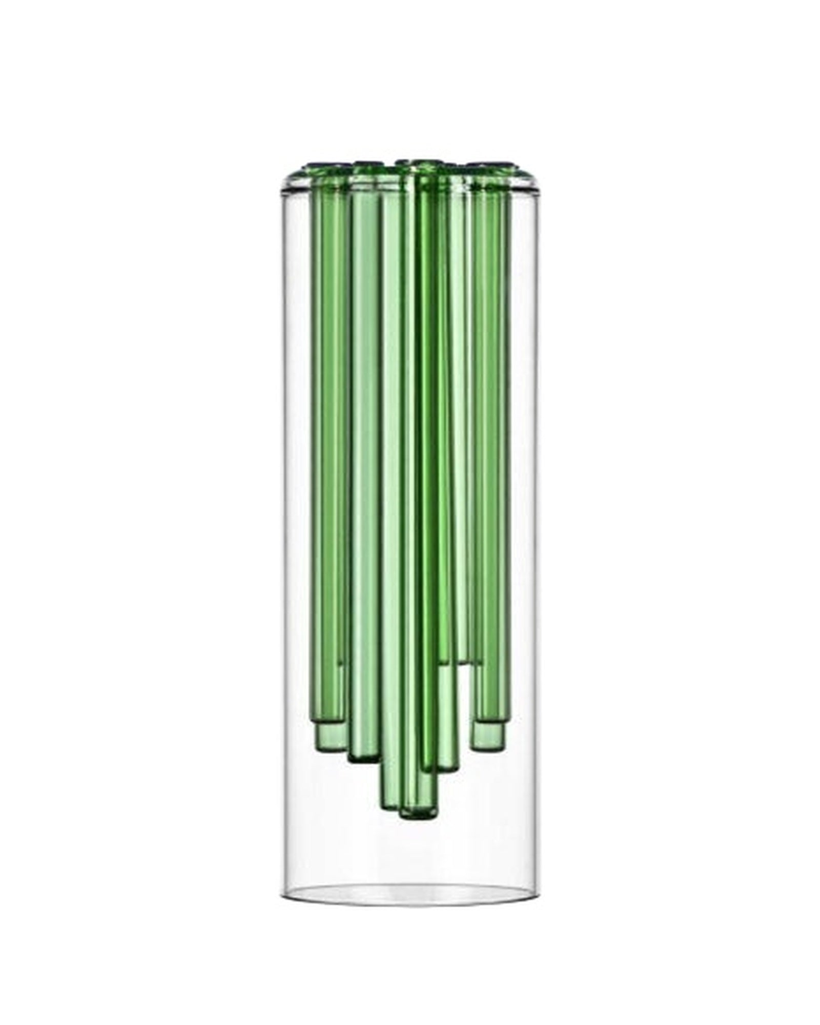 Vase jelly - HOLO